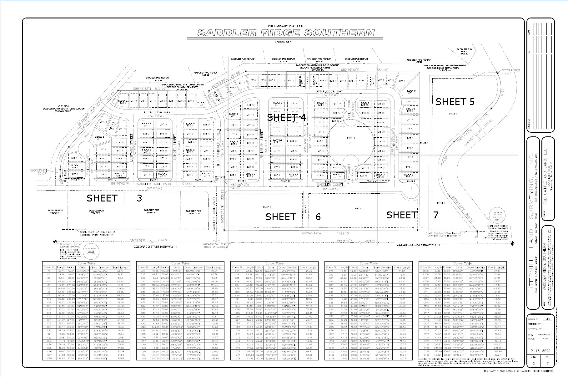 Saddler Ridge Southern Preliminary Plat Overall Layout